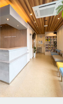 かとう動物病院