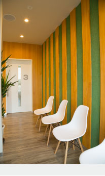 かとり動物病院