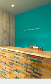 マカナ動物病院