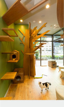 大泉学園どうぶつ病院 