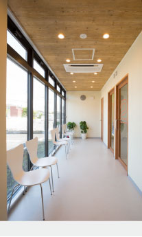 さくら日和動物病院