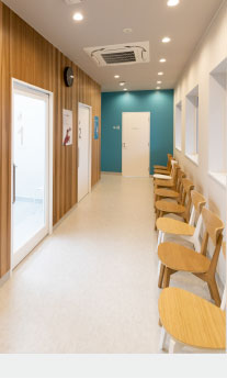 しみず動物病院