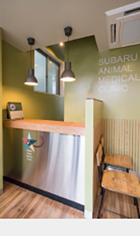 奥沢すばる動物病院